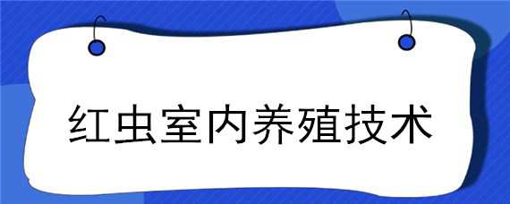 红虫室内养殖技术 红虫室内养殖技术与管理