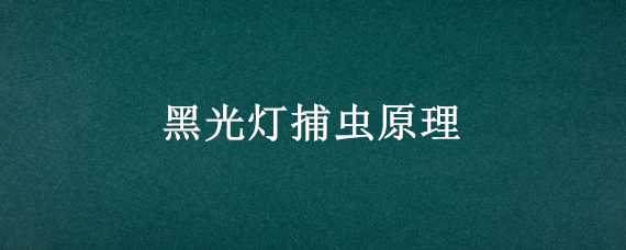 黑光灯捕虫原理