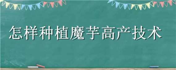 怎样种植魔芋高产技术 怎样种植魔芋高产技术视频