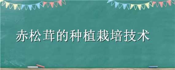 赤松茸的种植栽培技术