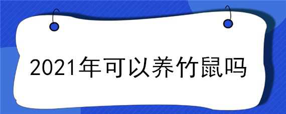 2021年可以养竹鼠吗（2021年可以养竹鼠吗知乎）