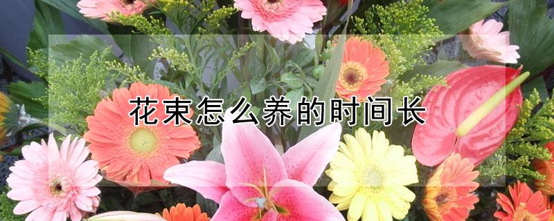 花束怎么养的时间长