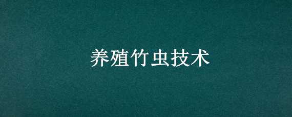 养殖竹虫技术（养殖竹虫技术视频教程）