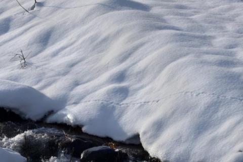 雪的寓意和象征