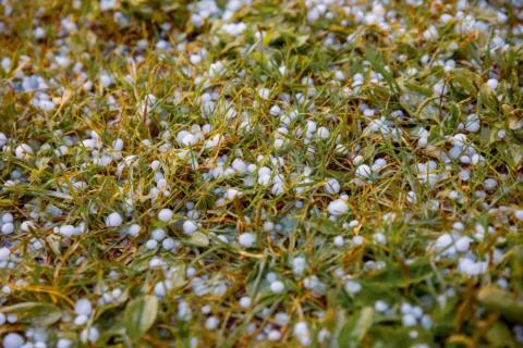 干热风、冰雹、暴雨...夏季灾害性天气还真多！一定早预防