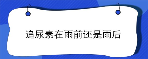 追尿素在雨前还是雨后 尿素雨前追好还是雨后追好