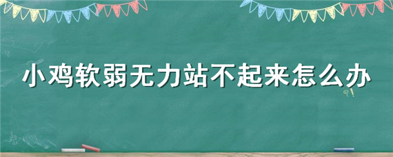 小鸡软弱无力站不起来怎么办 芦丁鸡软弱无力站不起来怎么办