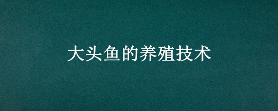 大头鱼的养殖技术（大头鱼怎么繁殖技术）