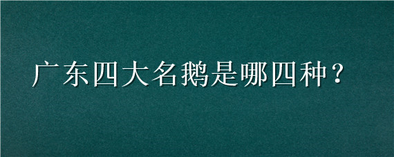 广东四大名鹅是哪四种（中国四大名鹅是哪四种）