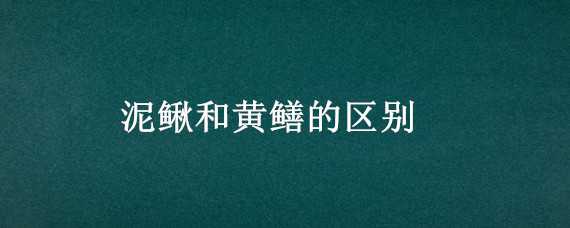 泥鳅和黄鳝的区别