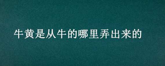 牛黄是从牛的哪里弄出来的