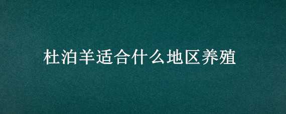 杜泊羊适合什么地区养殖（杜泊羊的养殖注意事项）