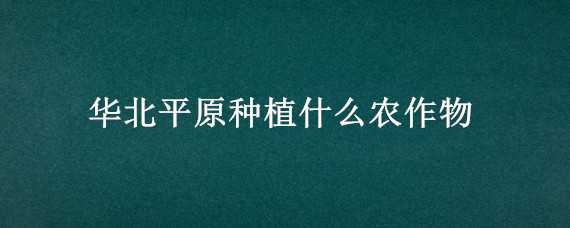 华北平原种植什么农作物