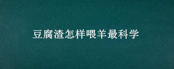 豆腐渣怎样喂羊最科学（豆腐渣怎样喂羊最科学视频）