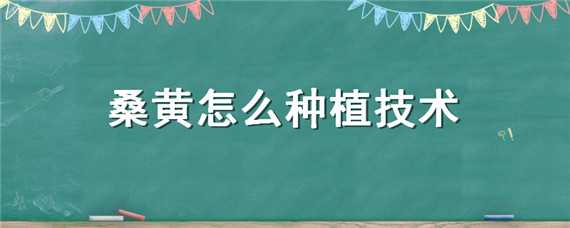 桑黄怎么种植技术（桑黄种植技术资料）