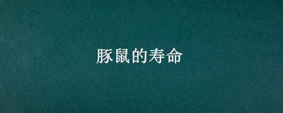 豚鼠的寿命（豚鼠的平均寿命）
