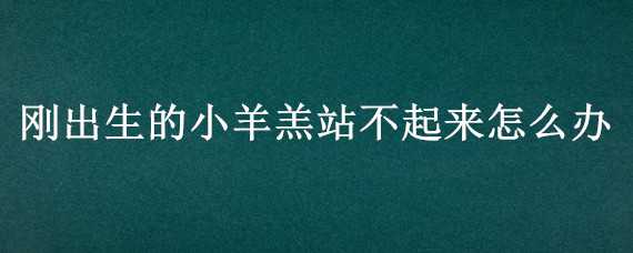 刚出生的小羊羔站不起来怎么办