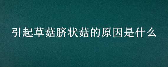 引起草菇脐状菇的原因是什么 菇类是怎么生长的