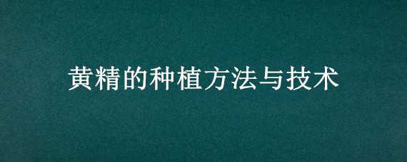 黄精的种植方法与技术 黄精的种植方法与技术视频