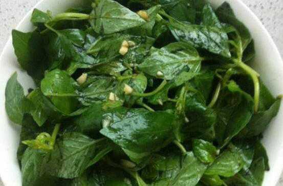 荆芥菜怎么吃，荆芥菜的食用方法方式