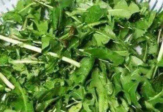 癌症最怕的三种野菜（癌症最怕的三种野菜肺癌增加白幺）