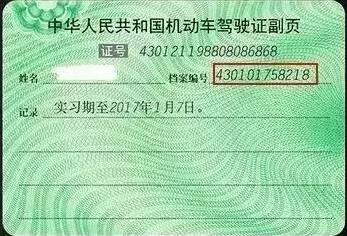 驾驶证档案编号在哪里?怎么查询?