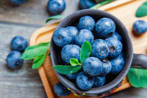一亩地能收多少斤蓝莓 蓝莓一亩地能产多少斤