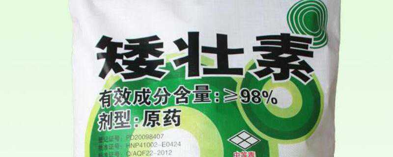 矮壮素药害怎么办（矮壮素农药）