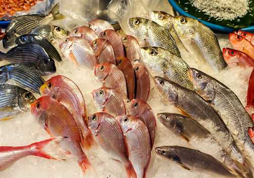 现在罗非鱼价格多少钱一斤 罗非鱼多钱一斤2018