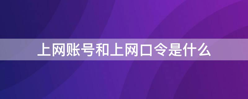 上网账号和上网口令是什么