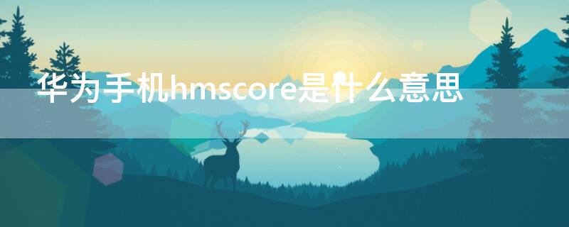 华为手机hmscore是什么意思