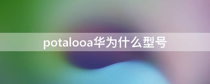 potalooa华为什么型号