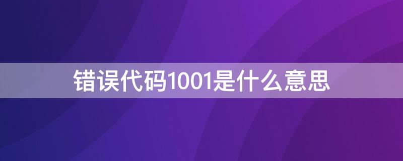 错误代码1001是什么意思