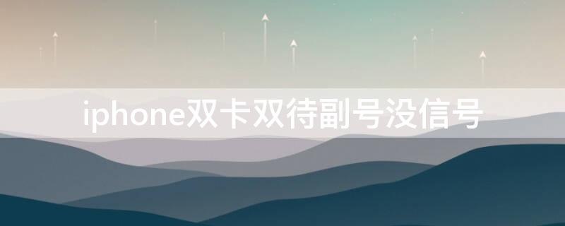 iPhone双卡双待副号没信号