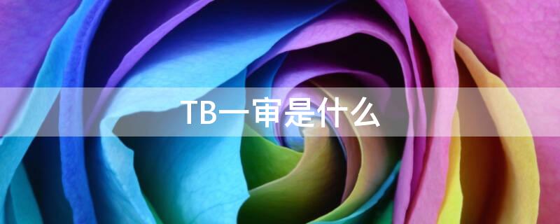 TB一审是什么