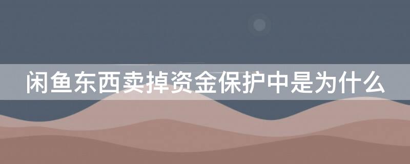 闲鱼东西卖掉资金保护中是为什么