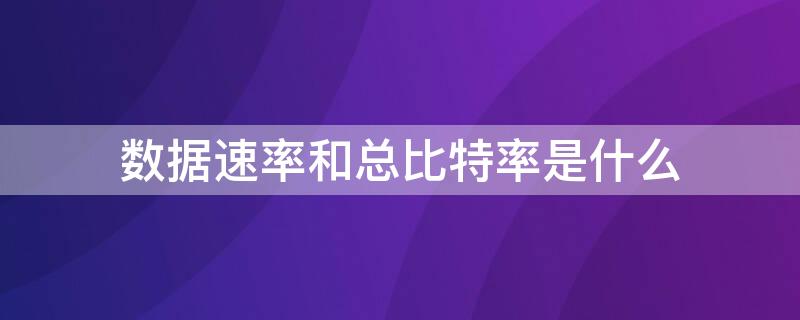 数据速率和总比特率是什么