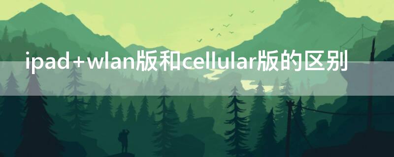 ipad wlan版和cellular版的区别