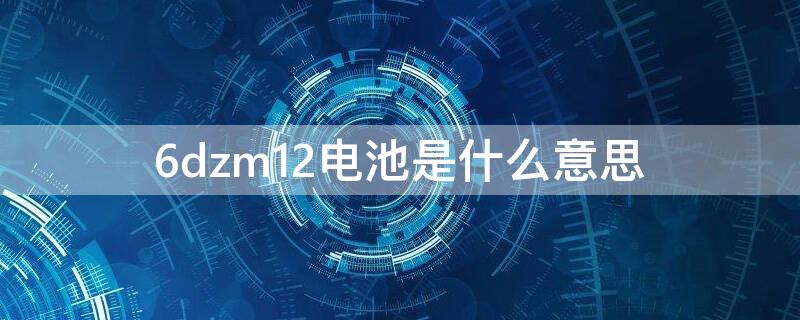 6dzm12电池是什么意思