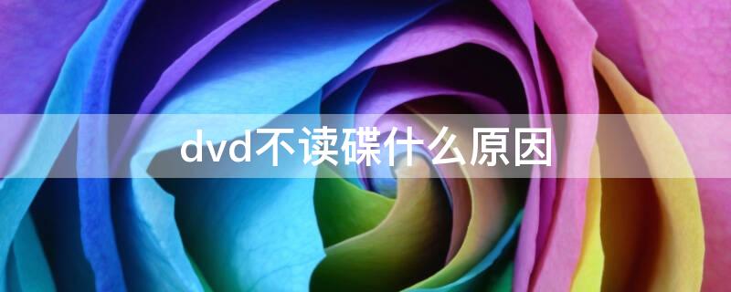 dvd不读碟什么原因