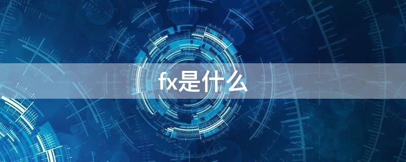 fx是什么