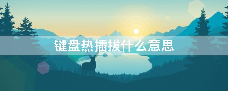 键盘热插拔什么意思