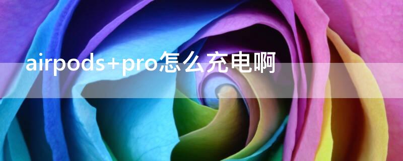 airpods pro怎么充电啊