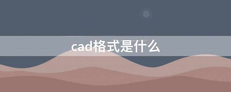 cad格式是什么（cad格式是什么意思）