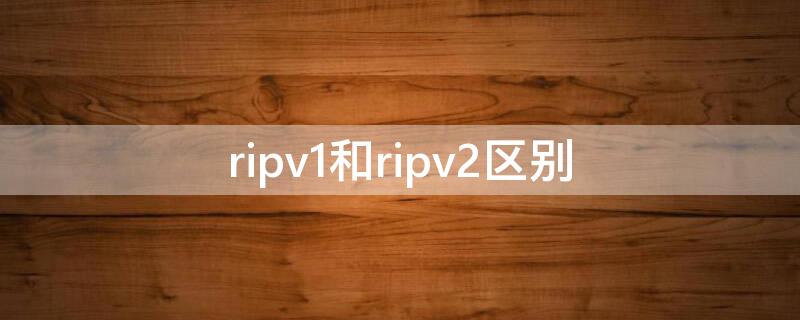 ripv1和ripv2区别