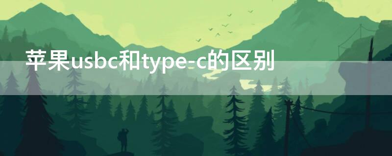iPhoneusbc和type-c的区别
