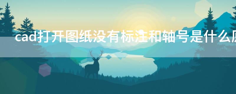 cad打开图纸没有标注和轴号是什么原因