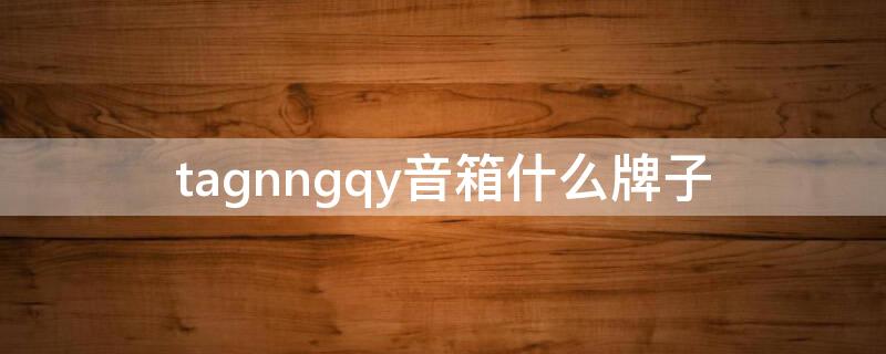 tagnngqy音箱什么牌子（tagnnggy音响是哪里的）