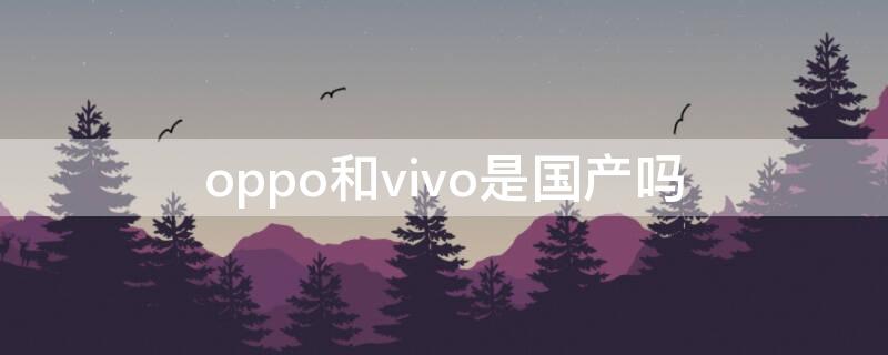 oppo和vivo是国产吗（vivo和oppo是国产的吗?）