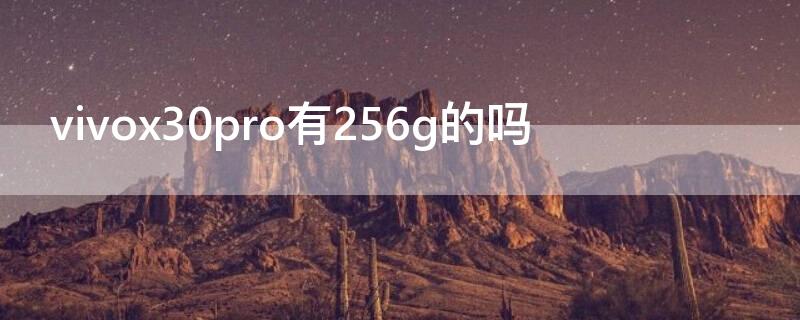 vivox30pro有256g的吗（vivox30pro4G）